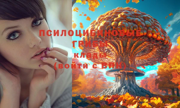 меф Алексеевка