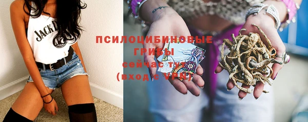 мескалин Алексин